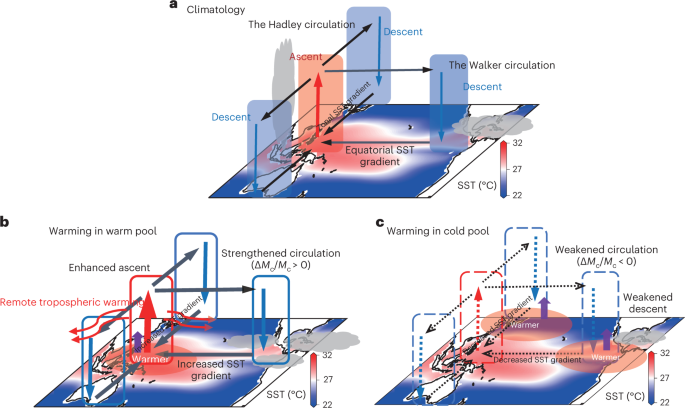 Sea surface warming patterns drive hydrological sensitivity uncertainties