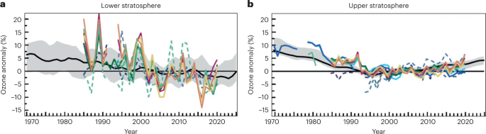 Stratospheric ozone loss by very short-lived substances