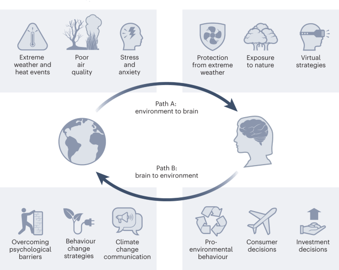 Seeing with the Brain, Research Briefs