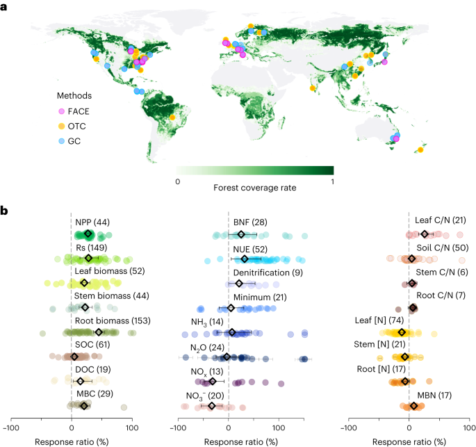 Elevated co2 levels promote both carbon and nitrogen cycling in global forests
