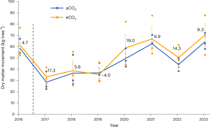 Mature oak forests retain the capacity of young forests to respond to elevated co2