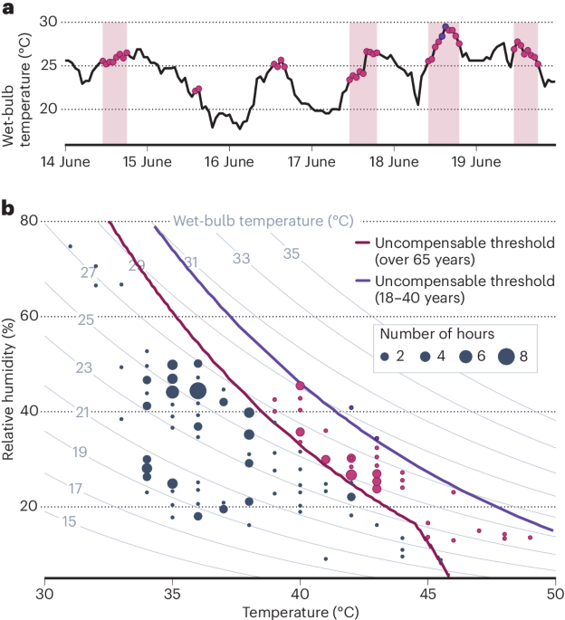 Humid heat exceeds human tolerance limits and causes mass mortality