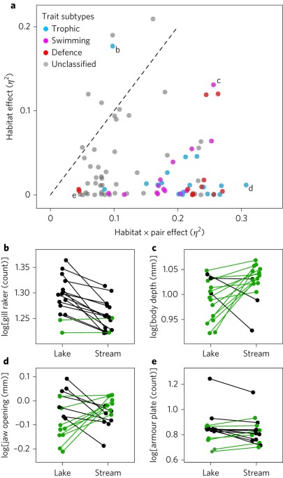 Calculation of L, ΔL and θ. Hypothetical lake–stream phenotypic