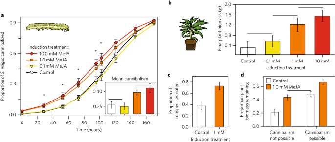 Induced defences in plants reduce herbivory by increasing cannibalism