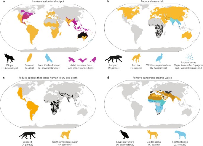 The contribution of predators and scavengers to human well-being | Nature  Ecology & Evolution
