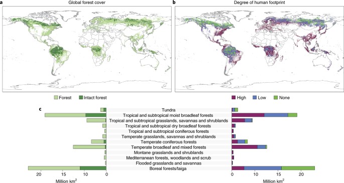 Intentional release of native species undermines ecological stability