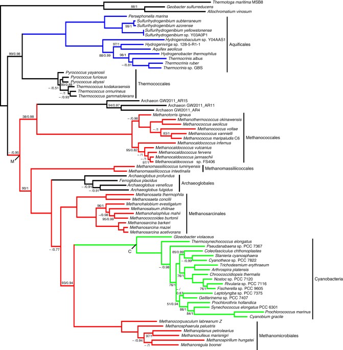 Horizontal Gene Transfer Constrains The Timing Of Methanogen Evolution Nature Ecology Evolution Horizontal Gene Transfer Constrains The Timing Of Methanogen Evolution Nature Ecology Evolution