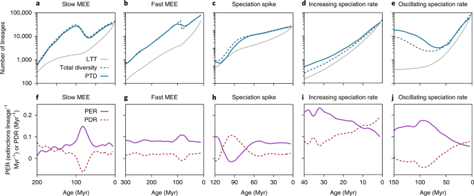 Bacterial diversification through geological time | Nature Ecology &  Evolution