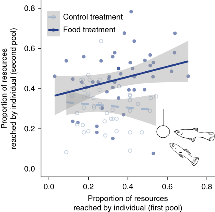 Individual And Population Level Drivers Of Consistent Foraging Success Across Environments Nature Ecology Evolution