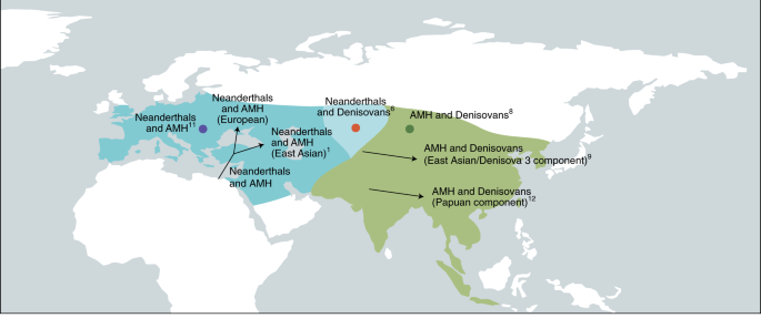 Encounters with archaic hominins