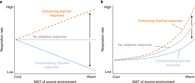 Enzyme adaptation to habitat thermal legacy shapes the thermal plasticity  of marine microbiomes