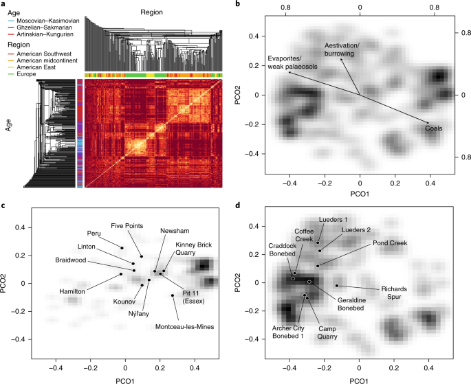 Carboniferous–permian climate change constrained early land vertebrate radiations