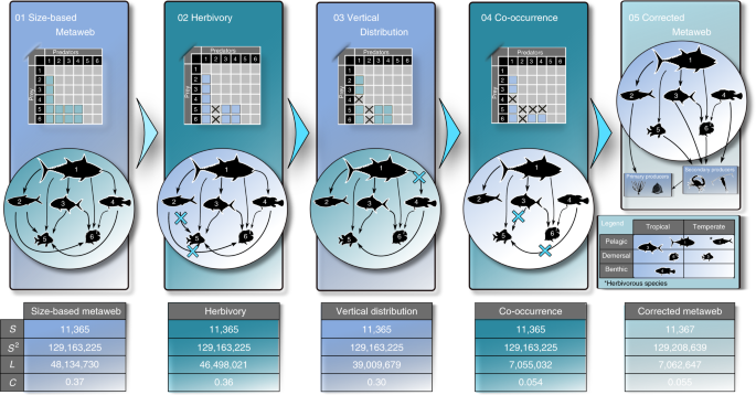 The Marine Fish Food Web Is Globally Connected Nature Ecology Evolution The Marine Fish Food Web Is Globally Connected Nature Ecology Evolution