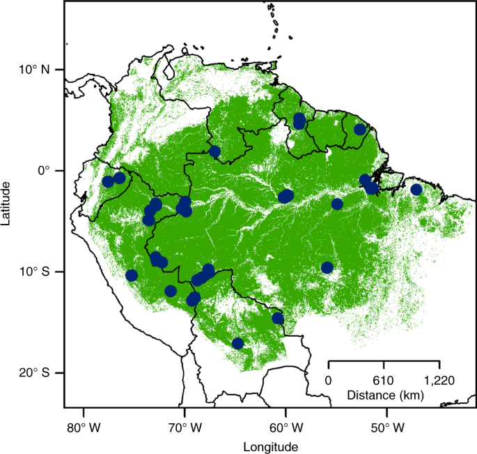Evolutionary diversity is associated with wood productivity in Amazonian  forests | Nature Ecology & Evolution