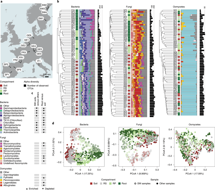 Root Microbiota Assembly And Adaptive Differentiation Among European Arabidopsis Populations Nature Ecology Evolution Root Microbiota Assembly And Adaptive Differentiation Among European Arabidopsis Populations Nature Ecology Evolution