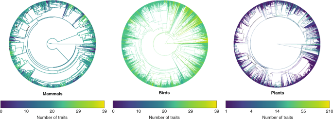 Open Science Principles For Accelerating Trait Based Science Across The Tree Of Life Nature Ecology Evolution