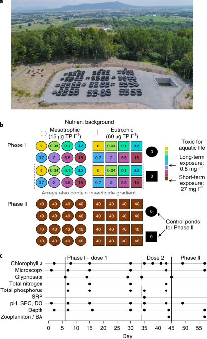 Community Rescue In Experimental Phytoplankton Communities Facing Severe Herbicide Pollution Nature Ecology Evolution