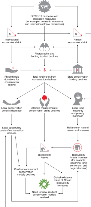 Conserving Africa S Wildlife And Wildlands Through The Covid 19 Crisis And Beyond Nature Ecology Evolution Conserving Africa S Wildlife And Wildlands Through The Covid 19 Crisis And Beyond Nature Ecology Evolution