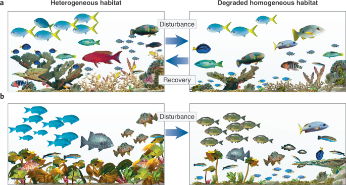 Accepting The Loss Of Habitat Specialists In A Changing World Nature Ecology Evolution
