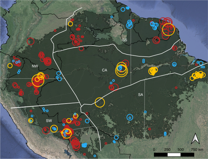 Amazon tree dominance across forest strata | Nature Ecology & Evolution