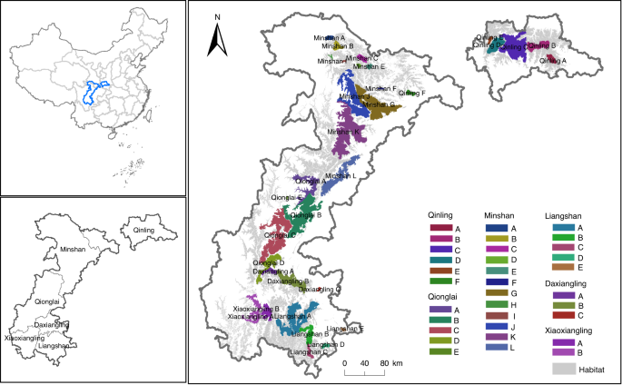 Spatial Models Of Giant Pandas Under Current And Future Conditions Reveal Extinction Risks Nature Ecology Evolution Spatial Models Of Giant Pandas Under Current And Future Conditions Reveal Extinction Risks Nature Ecology Evolution