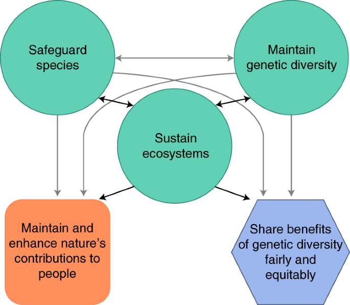 Scientific foundations for ecosystem goal, and indicators for the post-2020 global biodiversity framework | Nature Ecology & Evolution