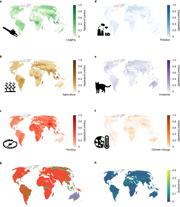 Birds and the Red List: IUCN Red List update 2020