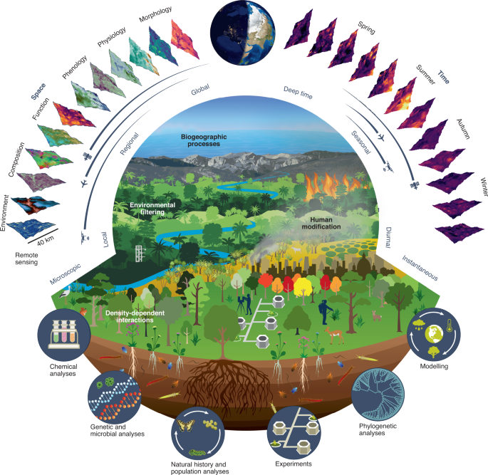 masters degree Archives - The Art of Ecology