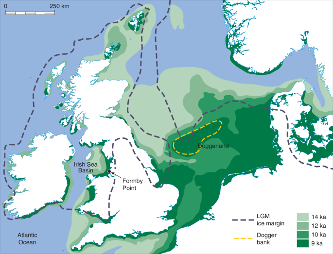 Footprint beds record Holocene decline in large mammal diversity on the Irish Sea coast of Britain