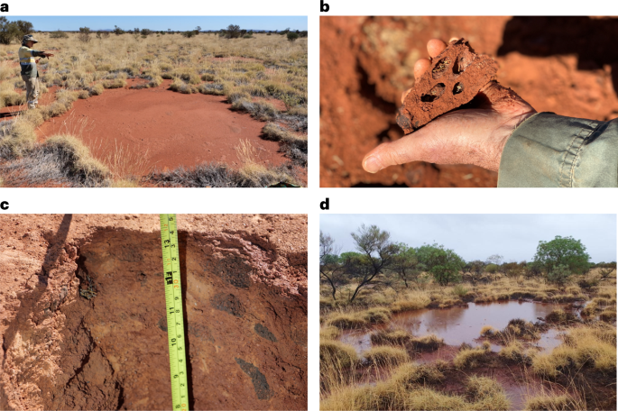 A multi‐scale study of Australian fairy circles using soil excavations and  drone‐based image analysis - Getzin - 2019 - Ecosphere - Wiley Online  Library