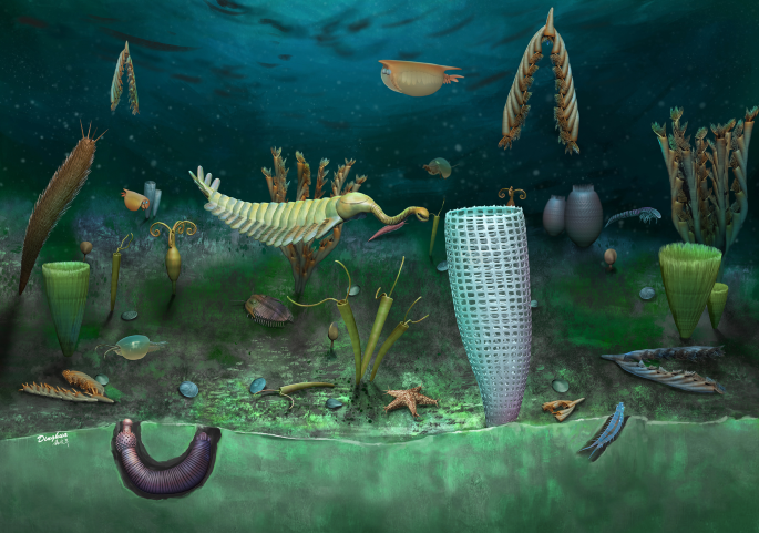 A Middle Ordovician Burgess Shale-type fauna from Castle Bank, Wales (UK) |  Nature Ecology & Evolution