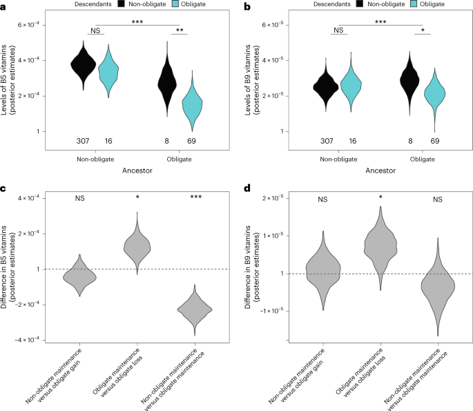 Symbioses shape feeding niches and diversification across insects