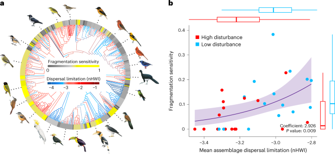 PDF) Bird species that occupy river edge in continuous forest tend to be  less sensitive to forest fragmentation