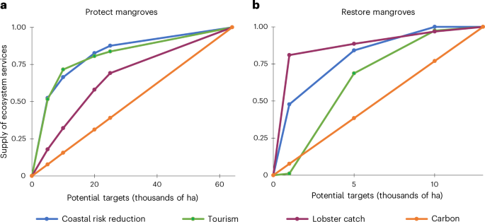 Frontiers  Tropical blue carbon: solutions and perspectives for