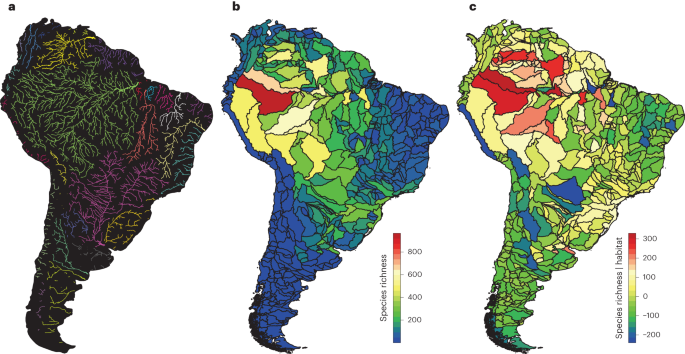 Freshwater fish diversity in the western Amazon basin shaped by Andean  uplift since the Late Cretaceous | Nature Ecology & Evolution