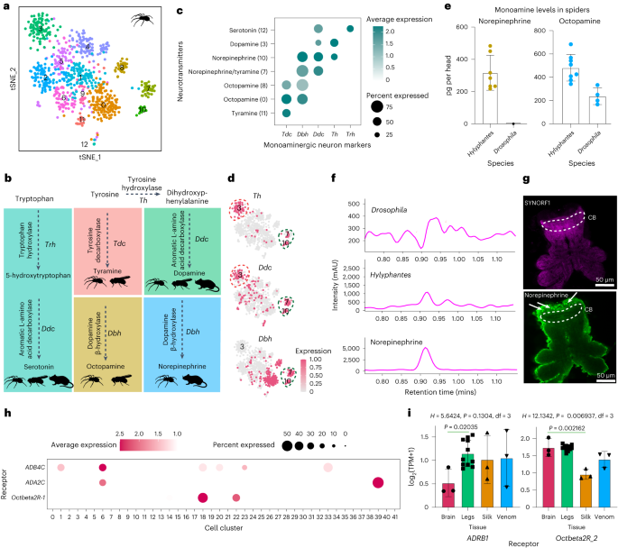 https://media.springernature.com/m685/springer-static/image/art%3A10.1038%2Fs41559-023-02238-y/MediaObjects/41559_2023_2238_Fig2_HTML.png