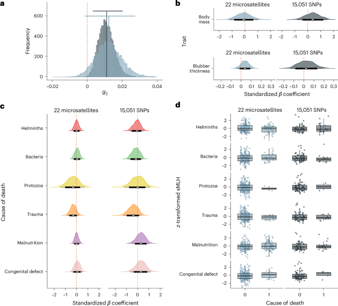 Genomic and fitness consequences of a near-extinction event in the northern elephant seal – Nature Ecology & Evolution