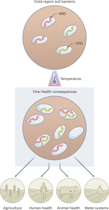 Warming threatens soil health - Nature Ecology & Evolution