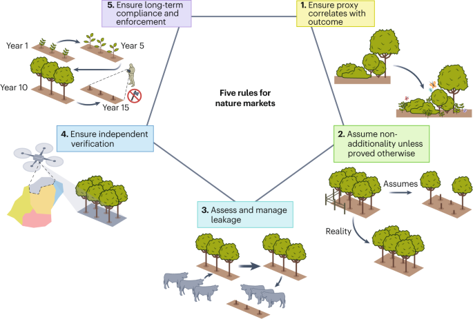 Five rules for scientifically credible nature markets - Nature Ecology & Evolution