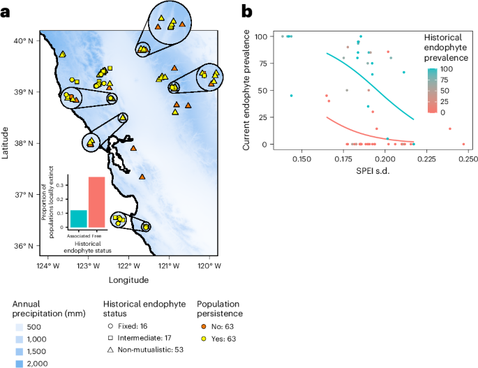 Climate variability disrupts crucial plant–fungal mutualisms | Nature ...