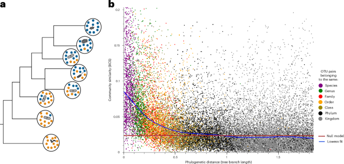 Related microorganisms occupy similar ecological communities - Nature Ecology & Evolution
