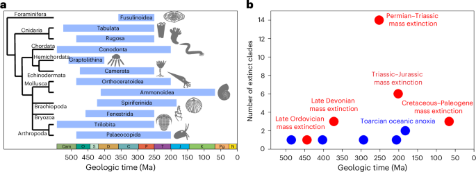 Identifying biotic and abiotic roles in marine clade extinction - Nature Ecology & Evolution
