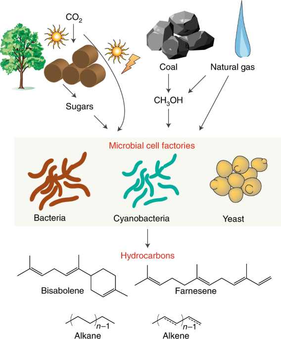 Barriers And Opportunities In Bio Based Production Of Hydrocarbons Nature Energy Barriers And Opportunities In Bio Based Production Of Hydrocarbons Nature Energy