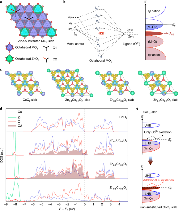 Constant Change: Exploring Dynamic Oxygen Evolution Reaction Catalysis and  Material Transformations in Strontium Zinc Iridate Perovskite in Acid