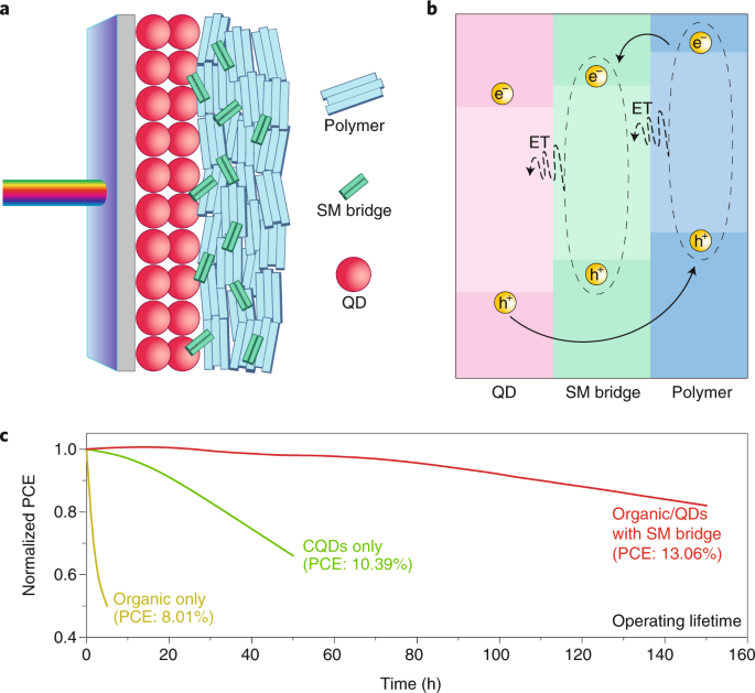 A bridge for charge carriers | Nature Energy