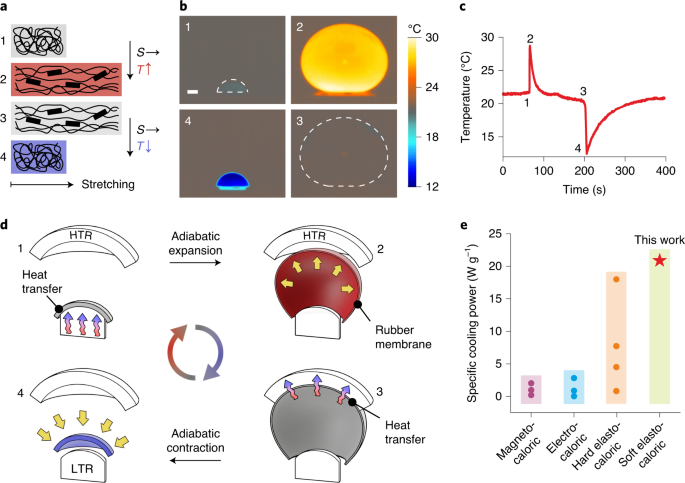 Elastocaloric Heat Pump With Specific Cooling Power Of 9 W G 1 Exploiting Snap Through Instability And Strain Induced Crystallization Nature Energy