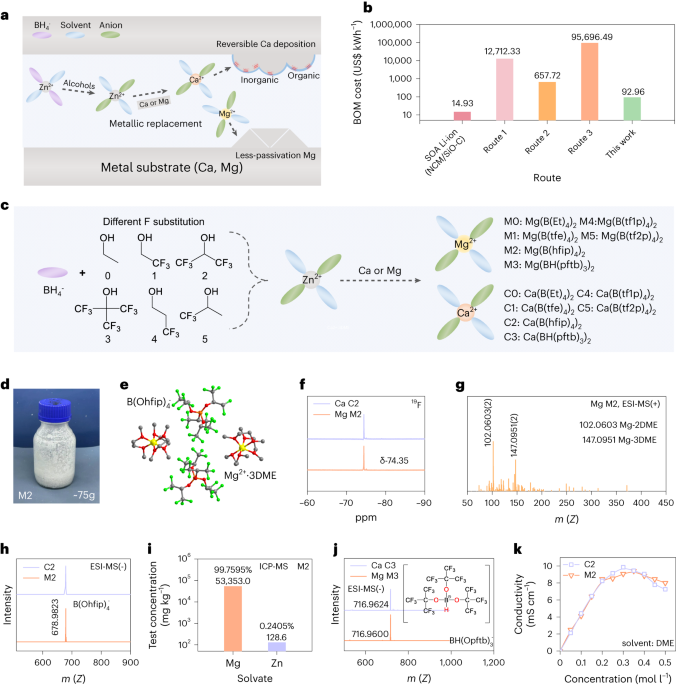 Cation replacement method enables high-performance electrolytes for multivalent metal batteries - Nature Energy
