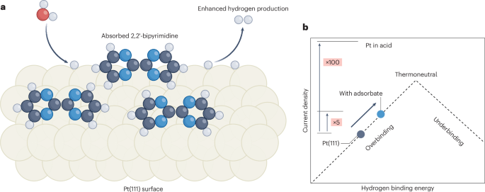 Enhancing Alkaline Hydrogen Evolution with Aromatic Amines: A Breakthrough in Electrolysis
