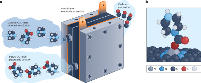 Binding and release in balance