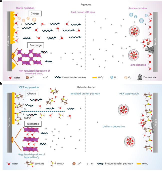 Aqueous eutectic electrolytes suppress oxygen and hydrogen evolution for long-life Zn||MnO2 dual-electrode-free batteries - Nature Energy